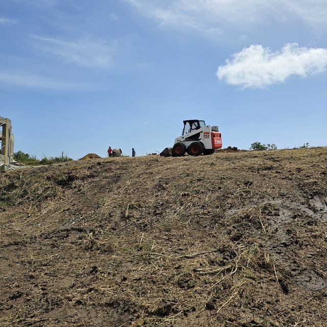 Bobcat clearing land